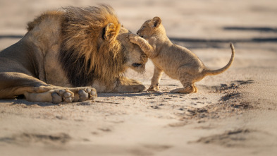 Imagen de Cómo se hizo Parenthood  - 4