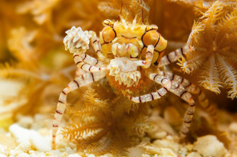 Imagen de Cómo se hizo Parenthood  - 5