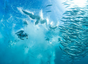 Imagen de Cómo se hizo Parenthood  - 9