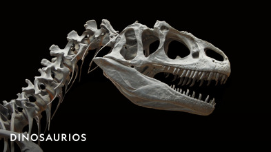 Imagen de Dinosaurios  - 2