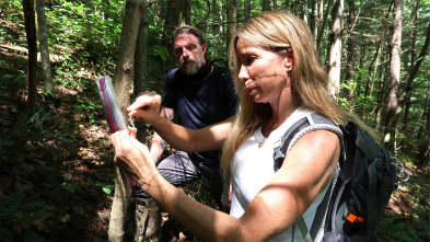 Imagen de Expedition Bigfoot: La mano de la bestia - 2