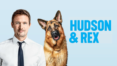Imagen de Hudson y Rex (T3): Ep.4 Bajo presión - 2