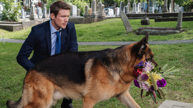 Imagen de Hudson & Rex (T3): Ep.1 El origen - 2