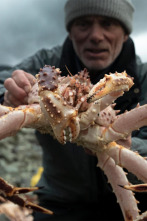 Imagen de Aguas profundas con...: Misterio en aguas frías - 1