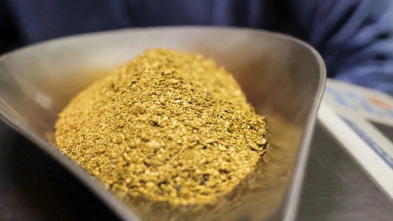 Imagen de La pesca del oro: Advertencia de tormenta - Parte 2 - 2