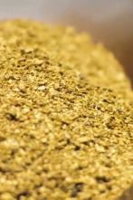 Imagen de La pesca del oro: Advertencia de tormenta - Parte 2 - 1