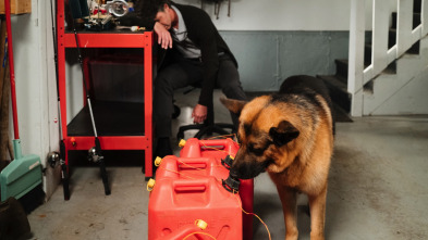 Imagen de Hudson y Rex (T3): Ep.4 Bajo presión - 3