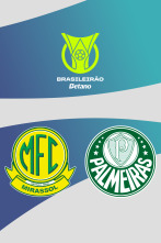 Imagen de Jornada 33: Mirassol - Palmeiras - 1
