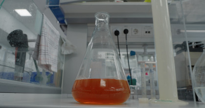 Imagen de La verdad sobre el Ozempic - 5