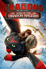 Imagen de Dragons: Dawn of the Dragon Racers - 1