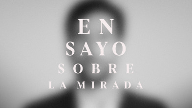 Imagen de Ensayo sobre la mirada - 2