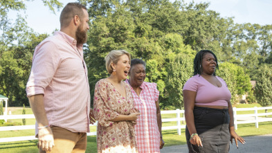 Imagen de Home Town (T8): Rosa divertido - 2