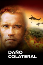 Imagen de Daño colateral - 1