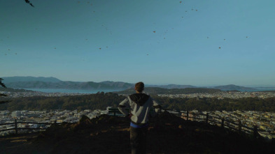 Imagen de Vista virtual - 13