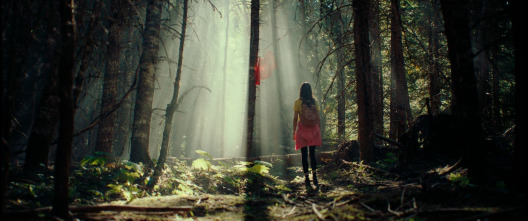 Imagen de Kryptic - 7