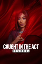 Imagen de Pillados: Infieles (T4): La casa de mis sueños - 1