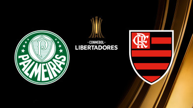 Imagen de Final: Palmeiras - Flamengo - 2