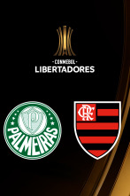 Imagen de Final: Palmeiras - Flamengo - 1