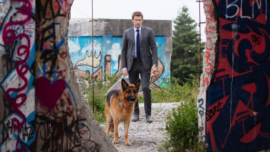 Imagen de Hudson & Rex (T3): Ep.5 Receta-Rex - 1