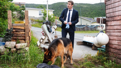 Imagen de Hudson & Rex (T3): Ep.5 Receta-Rex - 2