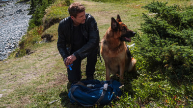 Imagen de Hudson y Rex (T3): Ep.7 Cuestión de camada - 2