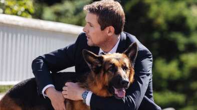 Imagen de Hudson y Rex (T3): Ep.8 La Bella durmiente - 5