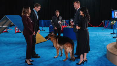 Imagen de Hudson y Rex (T3): Ep.9 Asuntos enterrados - 2