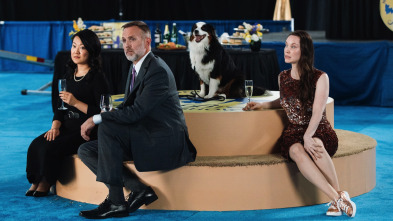 Imagen de Hudson y Rex (T3): Ep.9 Asuntos enterrados - 4