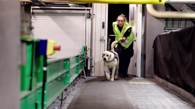 Imagen de Dentro del aeropuerto...: Alerta máxima - 1