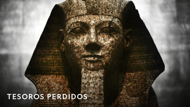 Imagen de Tesoros Perdidos  - 2