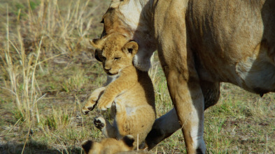 Imagen de Mara: el renacer de la...: El origen - 1