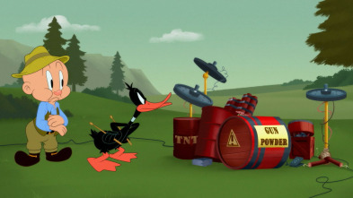 Imagen de Looney Tunes... (T4): Al ritmo de tambores / Gag del agujero: La madriguera voladora / Un festín aviar - 2