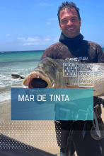 Imagen de Mar de tinta - 1