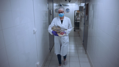 Imagen de Los trucos del cerebro: Mi cerebro y los otros - 8