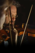 Imagen de Fitzwilliam String Quartet:  ShostakovichCuarteto de cuerda n.º 14 - 1