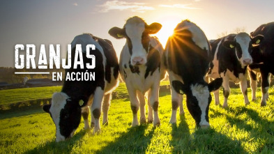 Imagen de Granjas en acción (T1) - 2