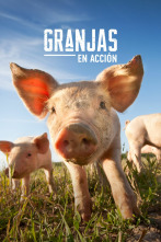 Imagen de Granjas en acción (T1) - 1