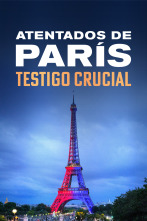 Imagen de Atentados de París: testigo crucial  - 1