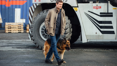 Imagen de Hudson y Rex (T3): Ep.10 Avivando las llamas - 1