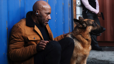 Imagen de Hudson y Rex (T3): Ep.10 Avivando las llamas - 2