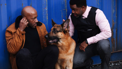 Imagen de Hudson y Rex (T3): Ep.10 Avivando las llamas - 3