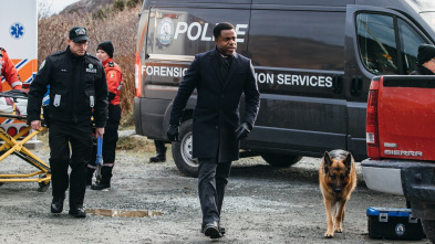 Imagen de Hudson & Rex (T3): Ep.12 Perro jefe - 3