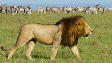 Imagen de Mara: el renacer de la...: El despertar - 1