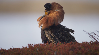 Imagen de Europa indómita: Montañas - 1