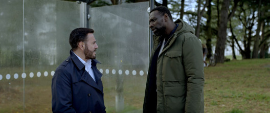 Imagen de Acosada - 13