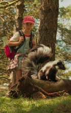 Imagen de Campamento Garra de Oso - 9