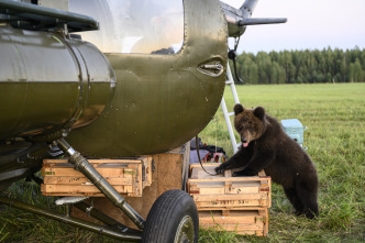 Imagen de Una amistad para siempre: la aventura - 12