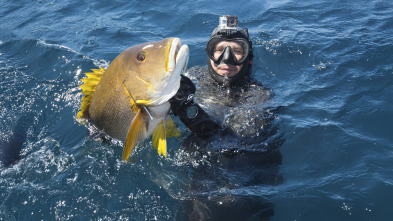 Imagen de Pesca submarina en Bali con Pedro Carbonell - 3