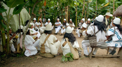 Imagen de Petro - 11