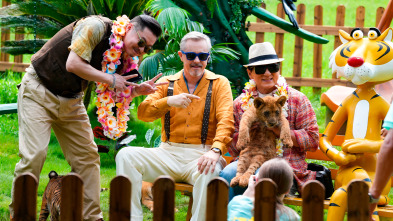 Imagen de Panda Plan - 3